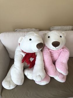 BEAR FAMILY