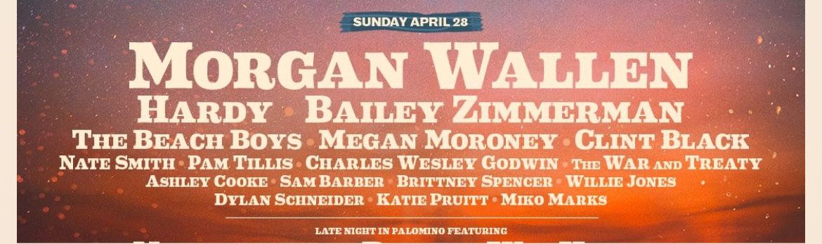 WTB SUNDAY ONLY STAGECOACH WRISTBANDS