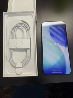 Apple iPhone 17 Pro Max 256GB Blue Unlocked Mint