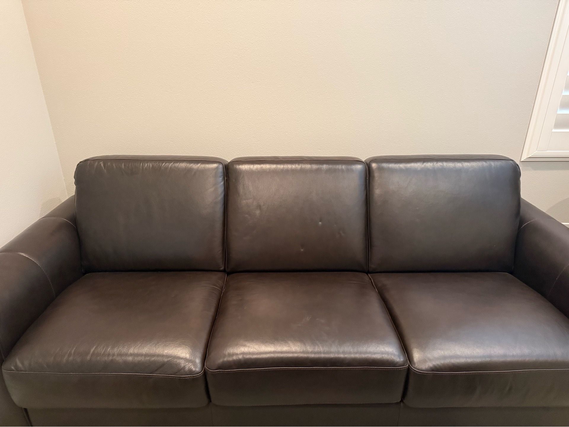 Leather sofa sleeper