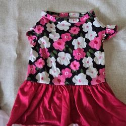 Girl Small Dog Dresses