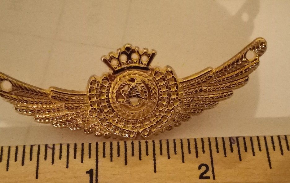 Gold Tone Wings Brooch Pin.