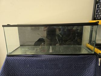 80 Gallon Fish Tank