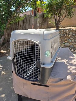 Large dog crate