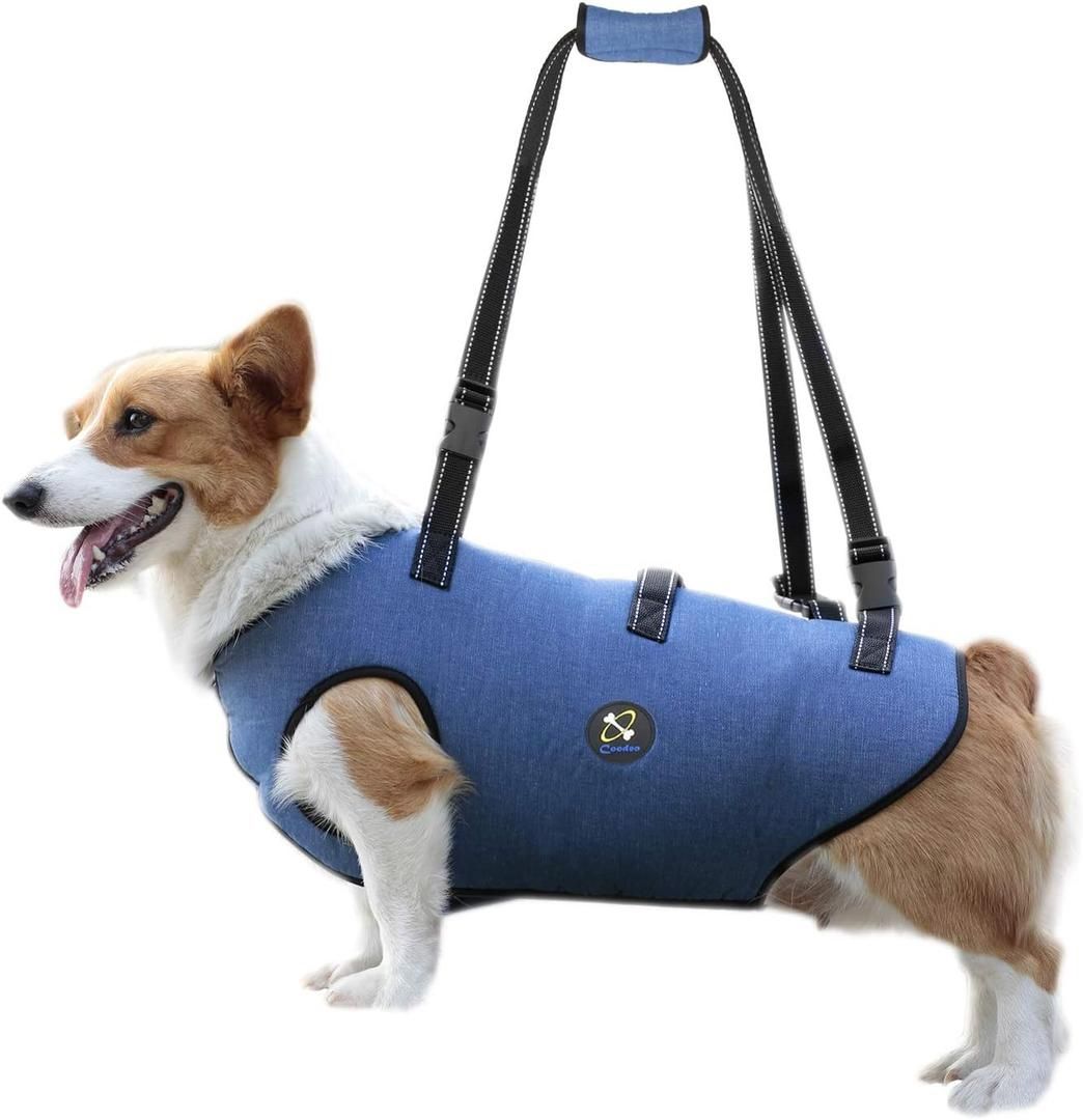 Coodeo Dog Lift Harness, Pet Support & Rehabilitation Sling Lift Adjustable Padded Breathable Straps for Old, Disabled, Joint Injuries, Arthritis, Los