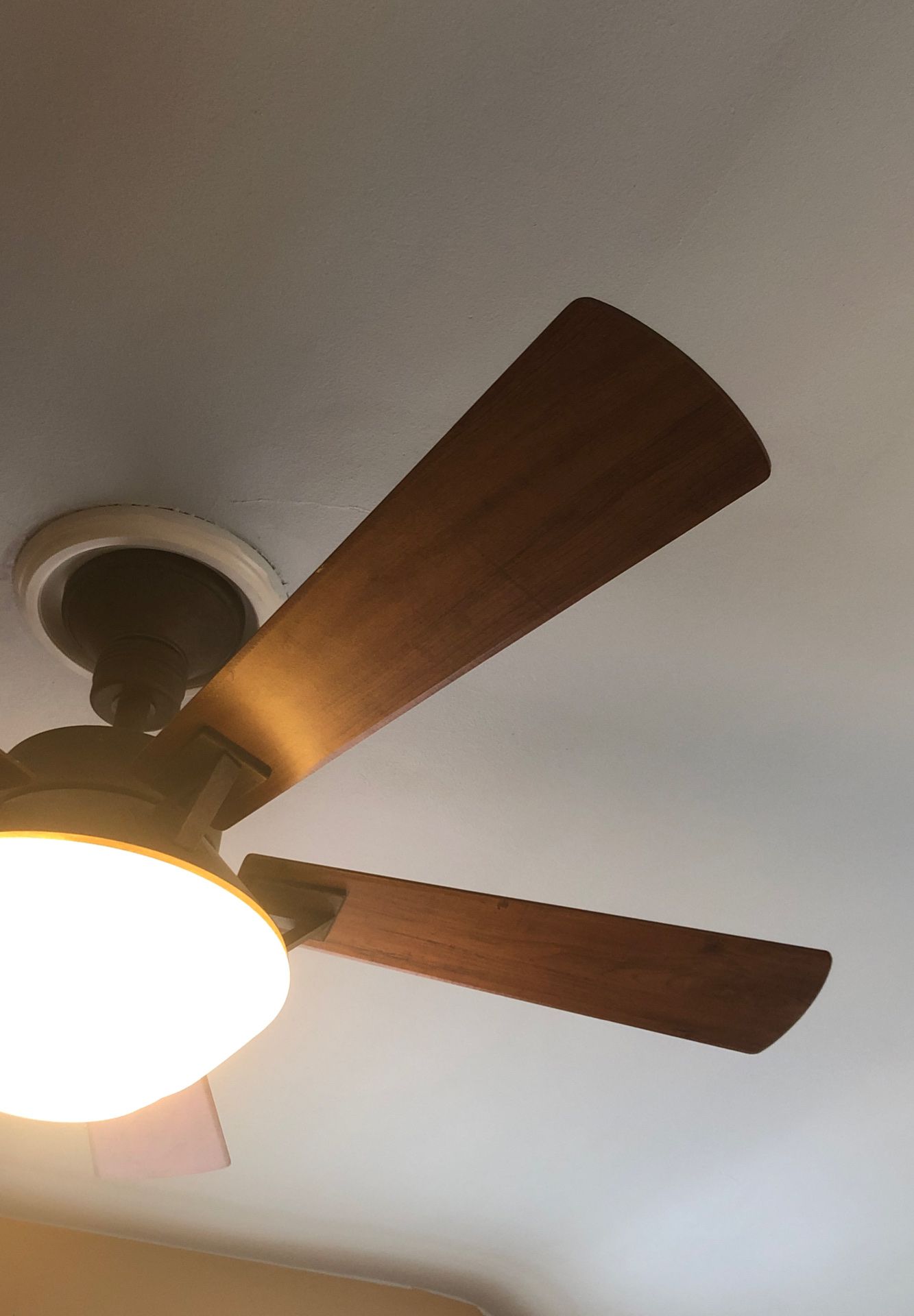 Beautiful Light Fixtures and Ceiling Fan