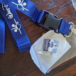 Disney pin