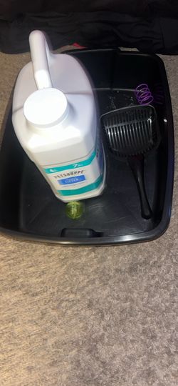 Cat essentials