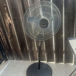 Fan