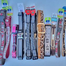 Collars & Leashes Hundreds Available In Most All Sizes See Description For Pricing