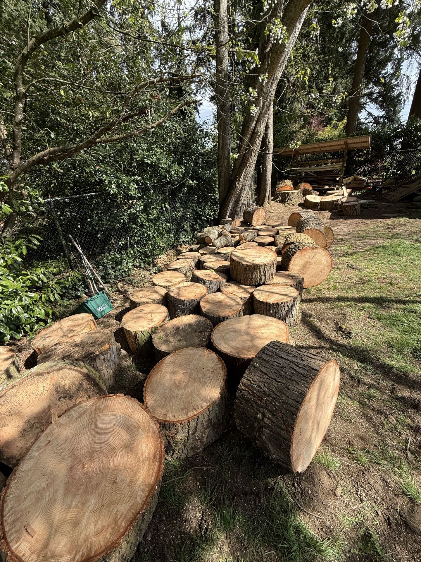 Fir firewood rounds