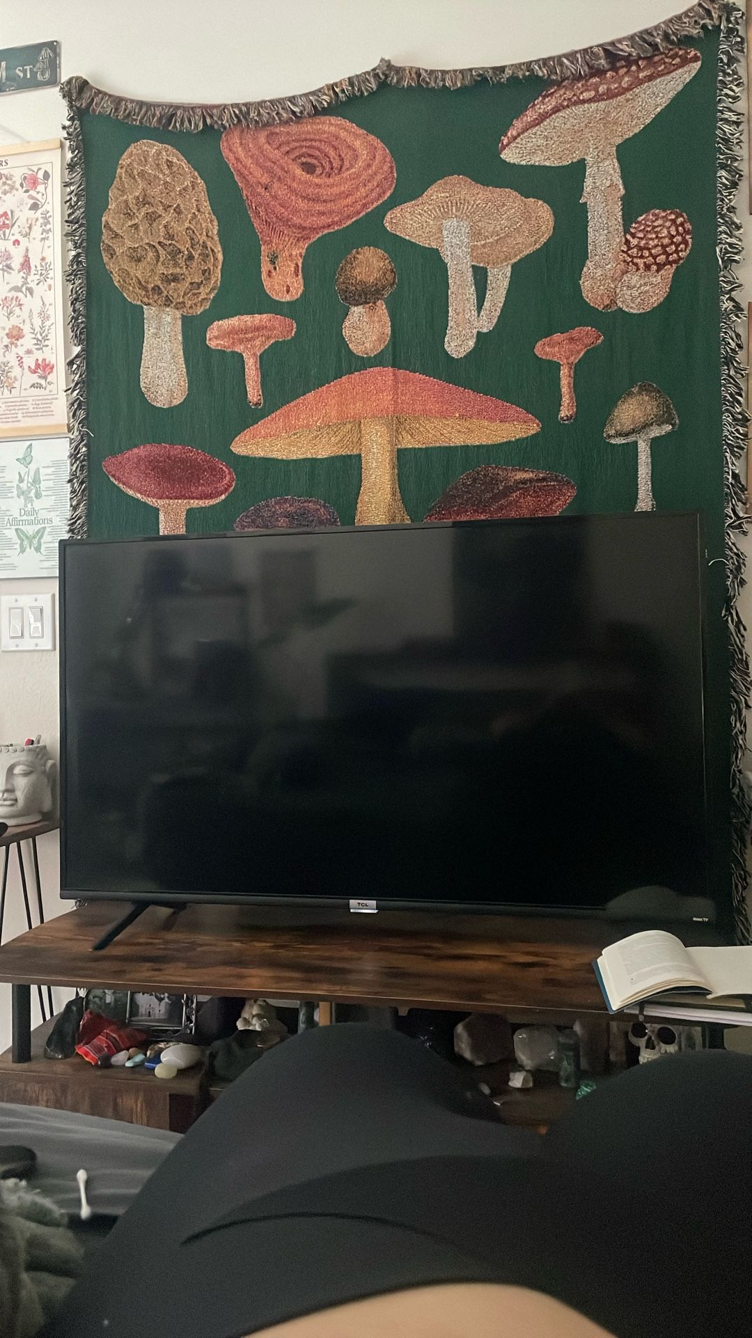 Tv Need Gone