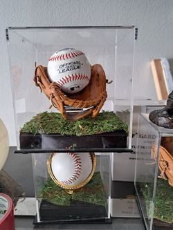 Baseball Trophy Case
