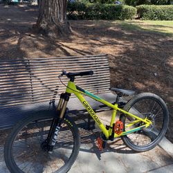 24in Hardtail MTB
