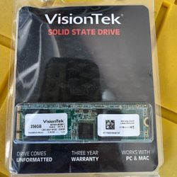 VisionTek 256gb SSD SATA III -  900911 Msata