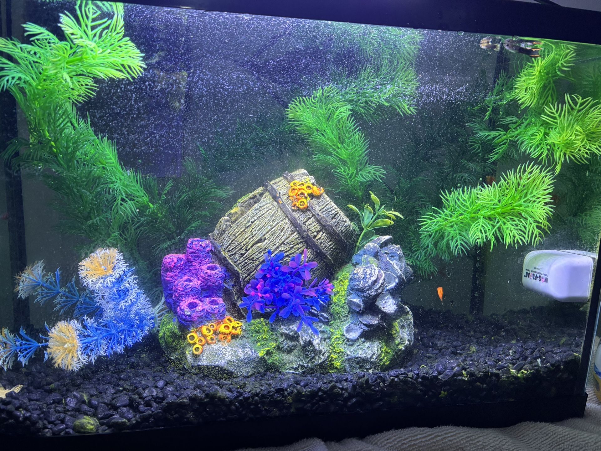 Fish Tank Aquarium 