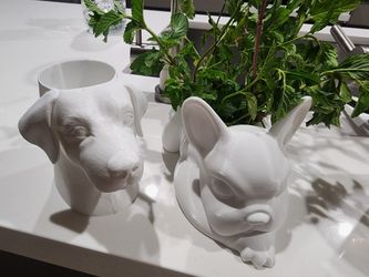 Dog planters