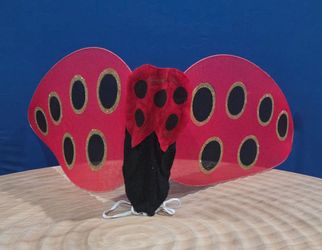 Girls Mesh Ladybug Costume Wings