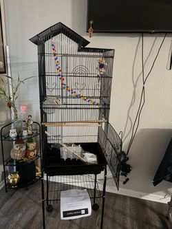 Bird cage