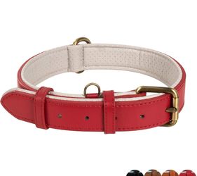 NWOTS*** Poohoo Leather Dog Collar Soft & Breathable Padded | Brass Hardware Rust-Proof | Heavy Duty | Lovely Bone Pattern | Classic Pet Collar For Me