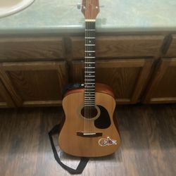 Jasmine Takamine Guitar 