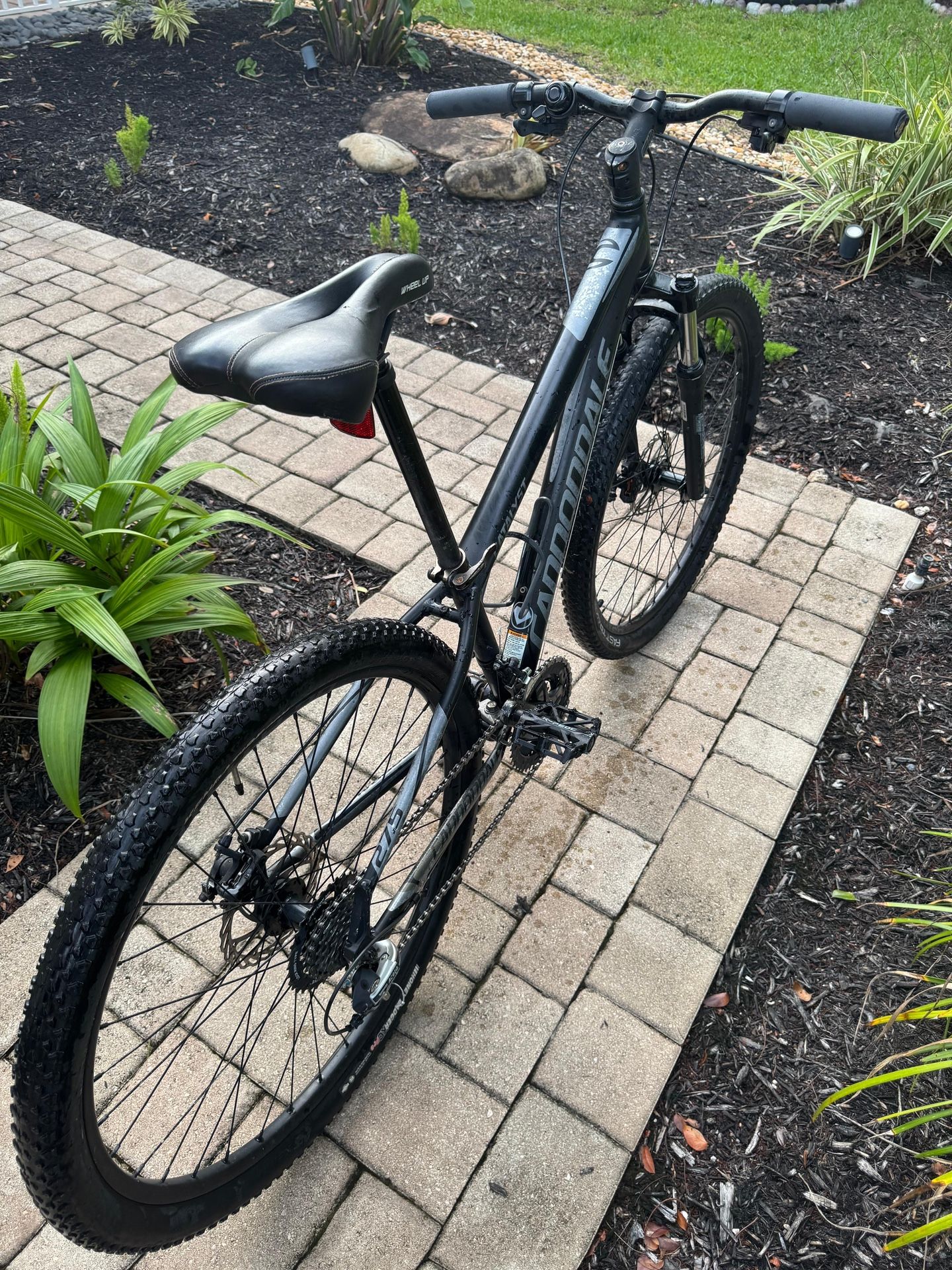 2019 used cannondale catalyst for sale