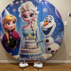 Frozen Theme Birthday Backdrop!