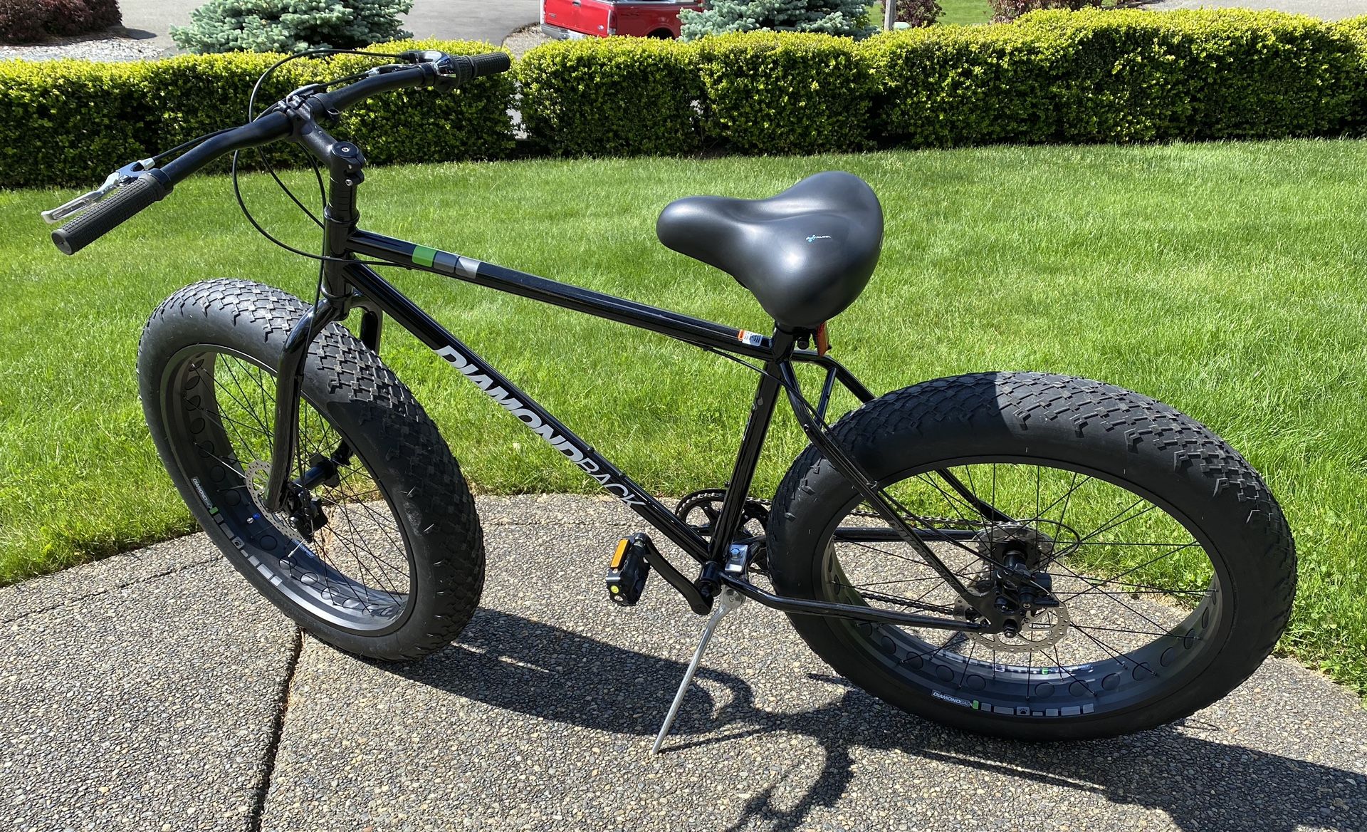 diamondback el oso gordo