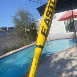 Baseball Bat Easton XL3