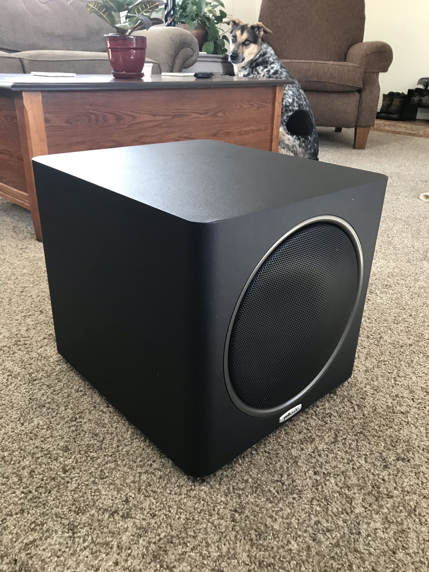 Subwoofer Polk Audio PSW110 w/ cable