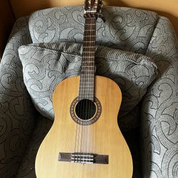 Acoustic Guitar