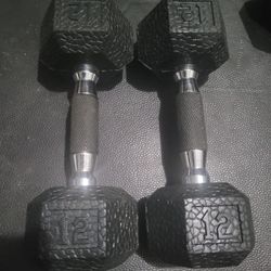 12lbs Dumbells Weights 
