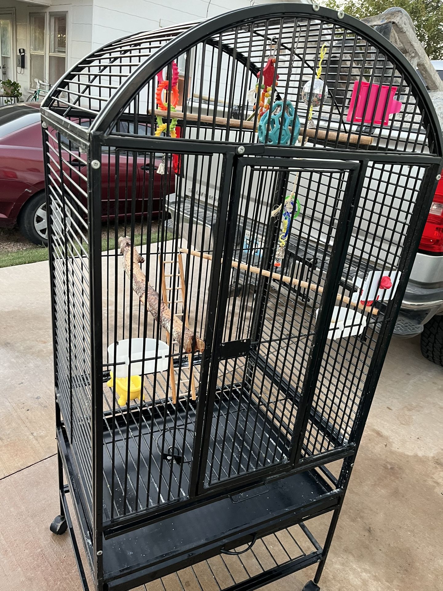 Bird Cage