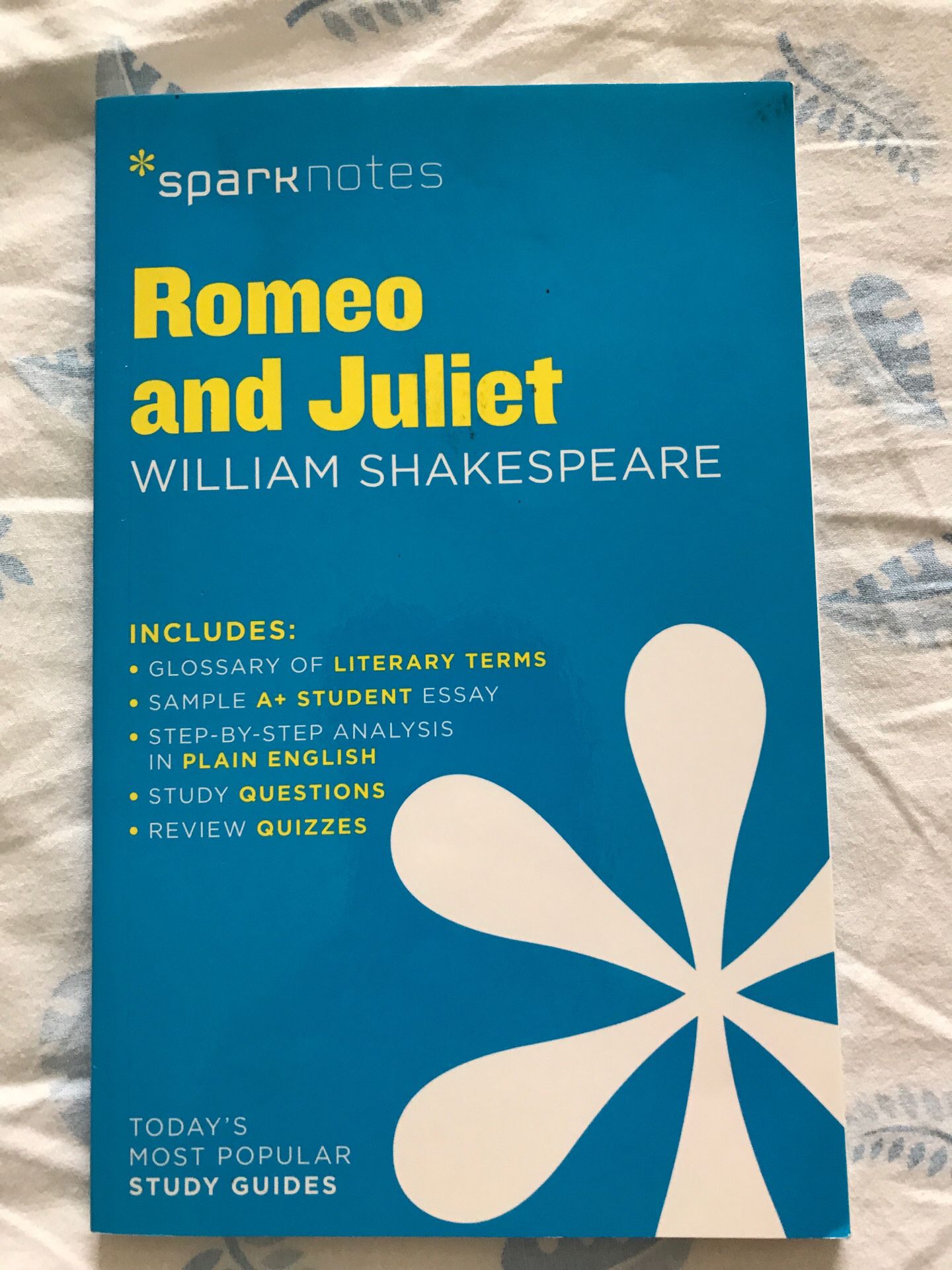 Romeo and Juliet Sparknotes
