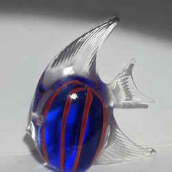 Glass fish