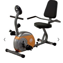 Marcy Recumbent Mag 