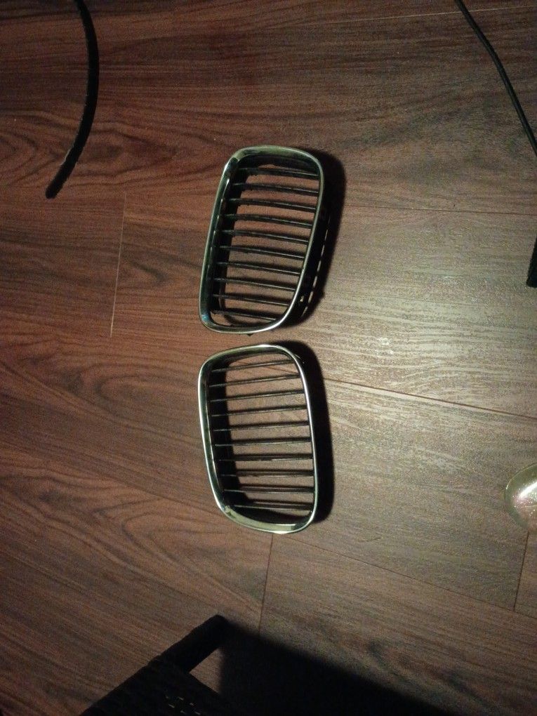 BMW Kidney Grills