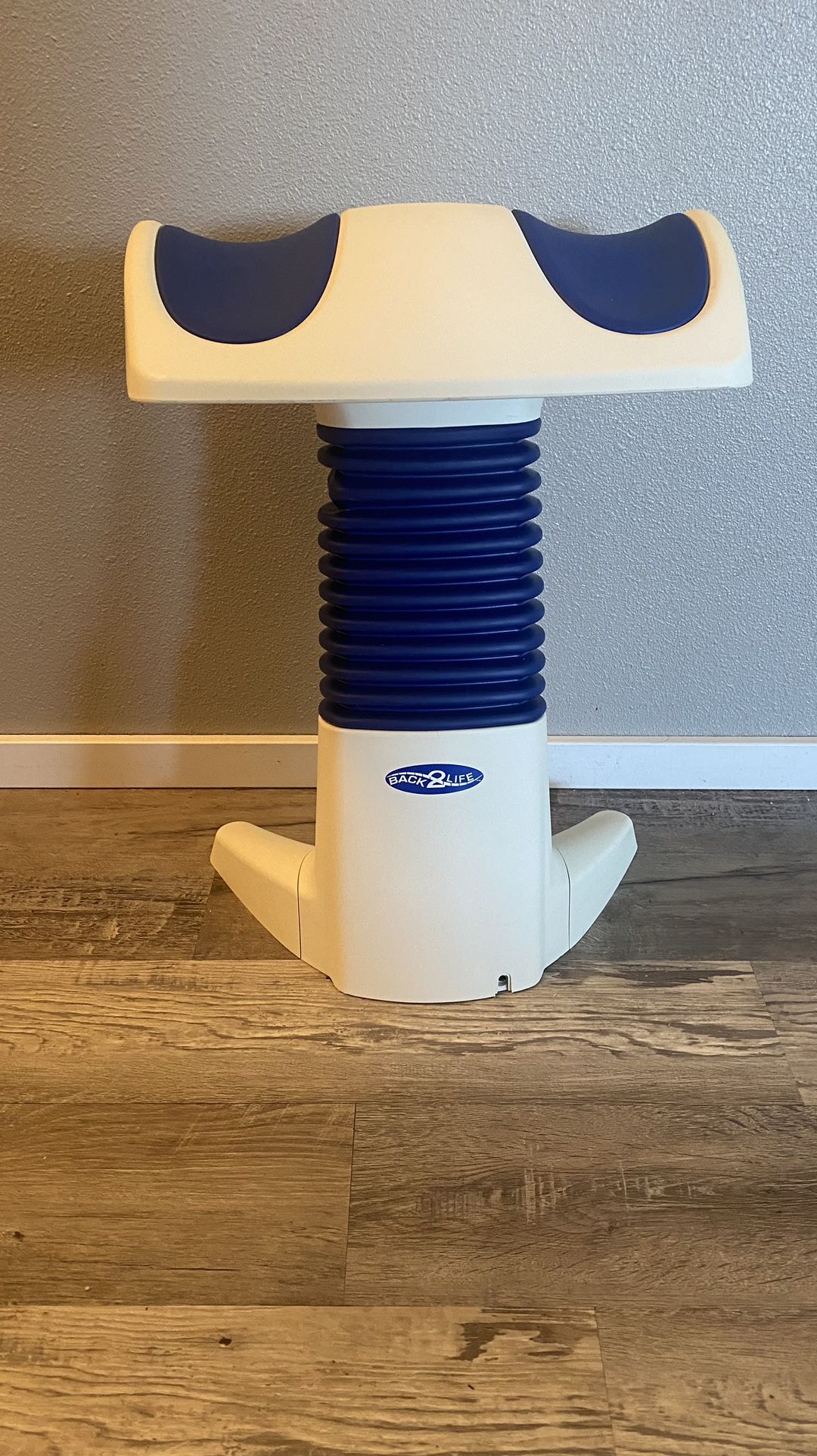 Back2Life Continuous Motion Massager