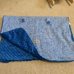 Carseat Canopy 