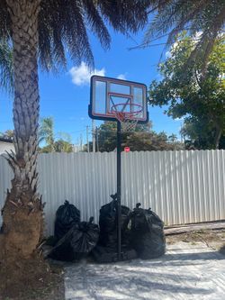Basketball net