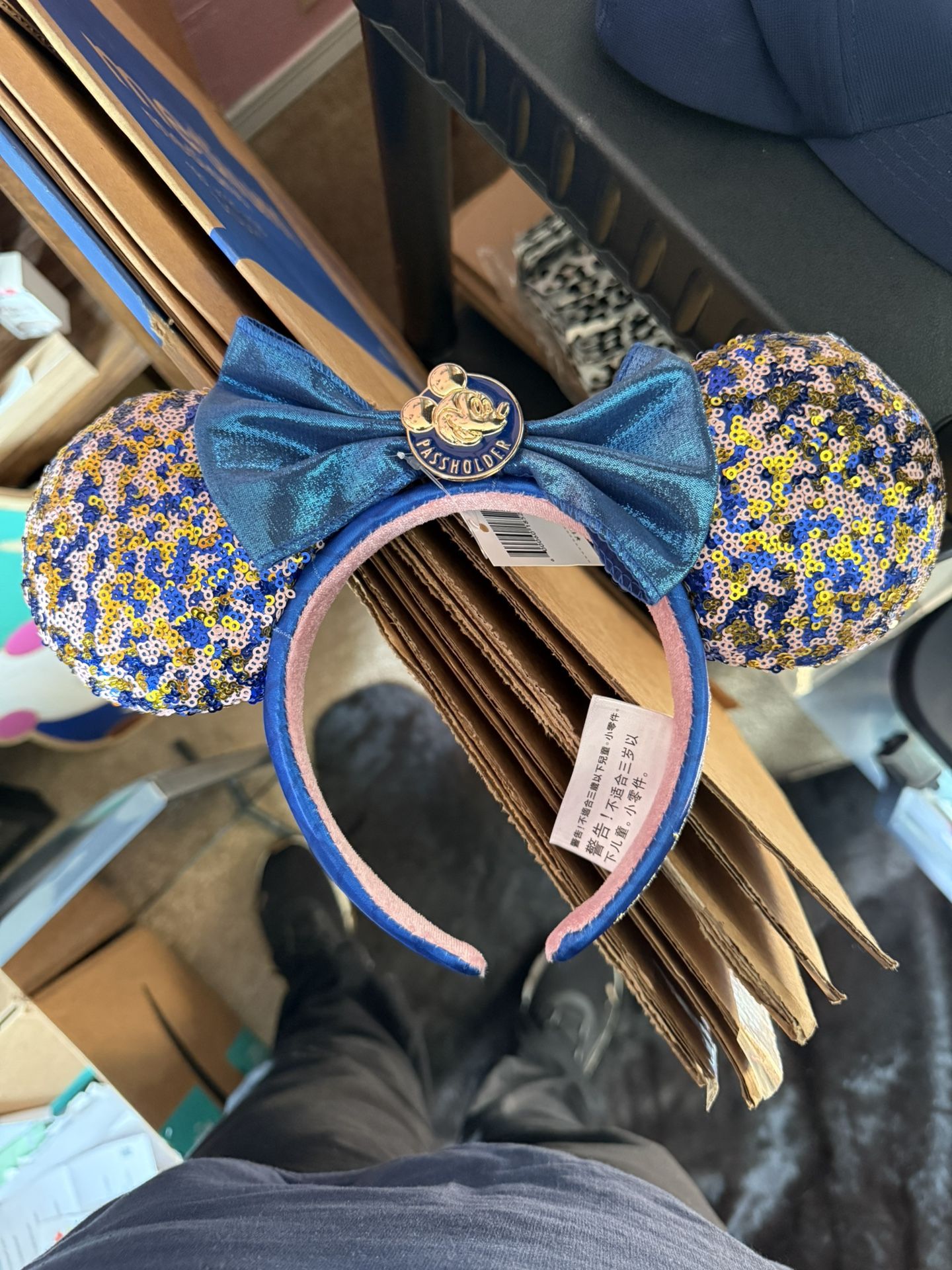 Disney Pass holder Ears