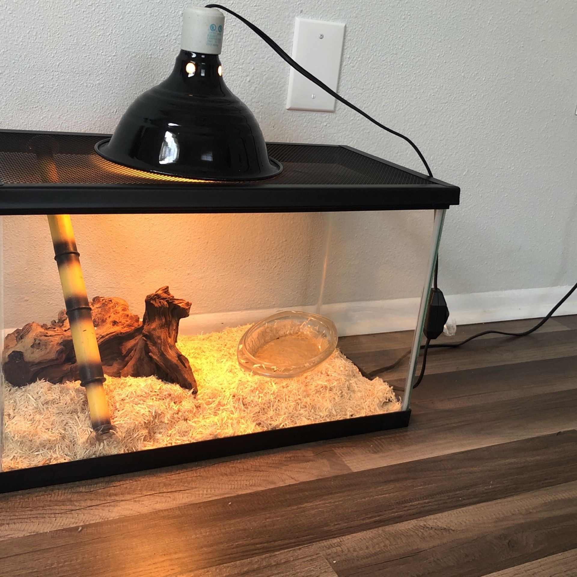 Rat Snake And Snake Stuff Bundle Take It All For 100 Dollars