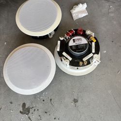 Ceiling Interior Speaker