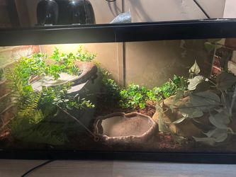 Reptile enclosure