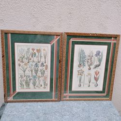 Pair of Flower Botanicals.. artwork
