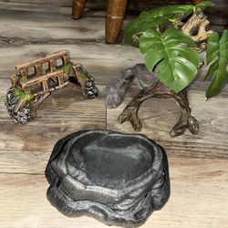 Reptile Accessories