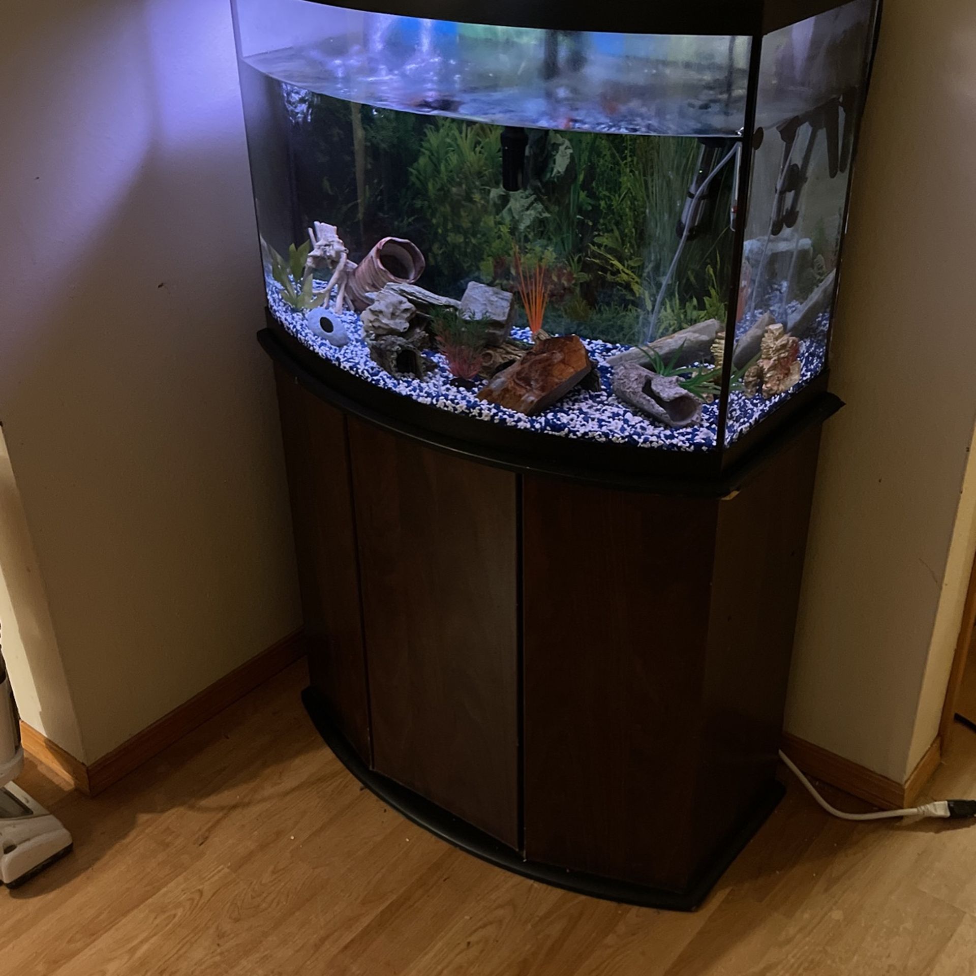 46 Gallon Bowfront Aquarium And Stand, Quality Marineland, 53 OFF