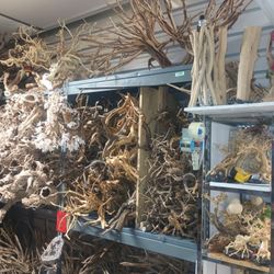 Planted Tank Aquarium Driftwood 