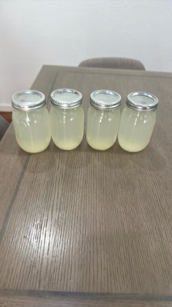 Freshly Squeezed Lemonade