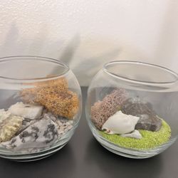 Set of 2 Contemporary Decorative Bowls With Natural Sand Rocks And Moss